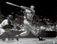 Ted Williams Foto
