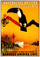 L'Amazone les Antilles Art Print by Peter Fussey