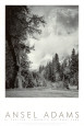 A Poster