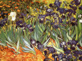 Floral and Garden (van Gogh) Posters