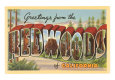 Californie Affiches