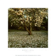 Magnolia Art Print by Bent Rej