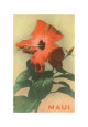 Hawaiian Travel Ads Posters
