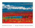 Alaska Tundra in Autumn Glory