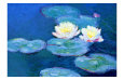 Nymphéas, le soir reproduction procédé giclée par Claude Monet