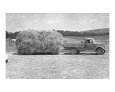 American Hay Farmer Giclee Print