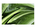 Imágenes abstractas en verde (arte decorativo) Pósteres