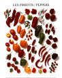 Poivrons Affiches