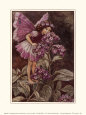 Cicely Mary Barker Affiches