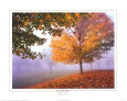 Brume automnale Reproduction d'art par Mike Jones