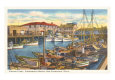 Fisherman's Wharf, San Francisco, California
