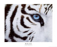 Tiger (Dekorative Kunst) Poster