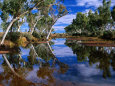 Creek Lined with River Red Gum Near Hermannsaburg, Northern Territory, Australia Photographic Print by Ross Barnett
