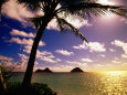 Palm Trees on the Beach at Sunset, Lanikai, U.S.A. Lámina fotográfica por Ann Cecil