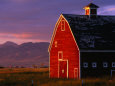 Spring Sunshine on a Barn in Montana, Montana, USA Lámina fotográfica por Carol Polich
