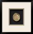 Polished Pink Abalone II Producto en 3D