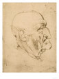 Leonardo da Vinci Posters