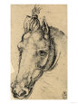 Study of the Head of a Horse, Pen Drawing on Paper Turned Yellow, Royal Library, Windsor Giclee Print by Leonardo da Vinci