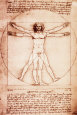 Leonardo da Vinci Posters