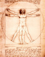 Vitruvian Man