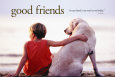 Bons amis Affiche