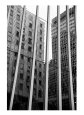 7th Avenue Edycja limitowana według Michael Joseph
