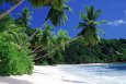 Mahe Island, Seychelles Poster by José Fuste Raga
