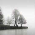 Fog and Trees at Dusk Lámina por Lsh