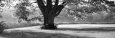 Country Landscapes (B&W Photography) Posters