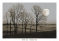 November Moon Lámina por Heather Jacks