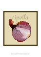 Cebollas Posters