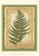 Leaves (Decorative Art) Posters