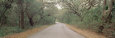 Panoramas de carreteras Pósteres