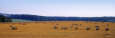 Hay Bales in a Field, Bohemia, Czech Republic