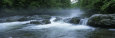 Little Pigeon River, Great Smoky Mountains National Park, Tennessee, North Carolina, USA