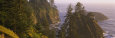 Trees on Rocks, Pacific Ocean, Boardman State Park, Oregon, USA Fotografiskt tryck av Panoramic Images