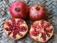 Pomegranate Fruit (Punica Granatum) Premium Poster von Reinhard