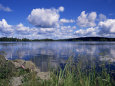 Summer, Lake at Ramen, North of Filipstad, Eastern Varmland, Sweden, Scandinavia Photographie par Richard Ashworth