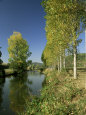 River Sarthe, Near Le Mans, Sarthe, Western Loire, Pays De La Loire, France