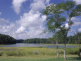 Indian Field Creek, on Colonial Highway, Near Williamsburg, Virginia, USA Photographic Print by Pearl Bucknall