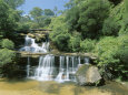 Part of the 300M Wentworth Falls on the Great Cliff Face in the Blue Mountains, Australia Lámina fotográfica por Robert Francis