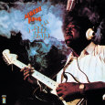 Albert King Posters