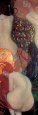 Peces de colores