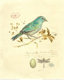 Gilded Songbird I Konsttryck av Chad Barrett
