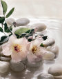 Spring Retreat III Art Print by Christine Elizabeth