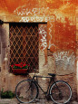 Fotografías en color de bicicletas Pósteres