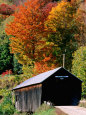 Vermont Posters