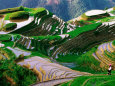 Zhuang Minority Girl in Terraced Rice Paddies, Long Ji, Guangxi, China Photographic Print by Keren Su