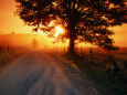 Sonnenuntergang auf dem Land (Farbfotografien) Poster