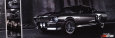 GT 500 Poster